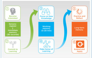 6-phase model for professional learning